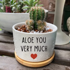 PWHINGN You Very Much- White Ceramic Engraved Mini Succulent Aloe Cactus Planter Pot, Funny Plant Pots Indoor Flower Plant Pots for Home Office Windowsill Levitating Plant Pot Gifts, 3.8 inch