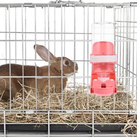 INOOMP Bebedor de Conejos hámster Bebiendo Botella de Agua de hámster Bebedero para Hamster Bebedero para cobayas comedero de Agua para Hamster biberón de Agua Botella de Pet páginas Rosa