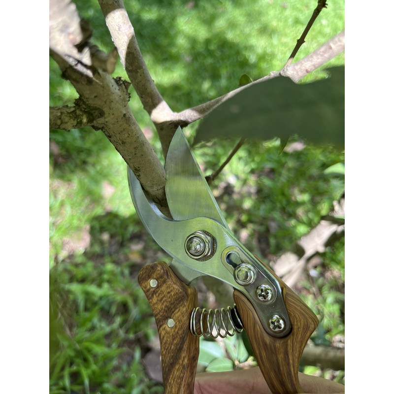 Pruning Shears, Flower Cutters for Stems, German Stainless Steel Blades,