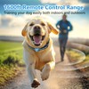 Dog Training Collar for 2 Dogs, Waterproof Dog Training Collar