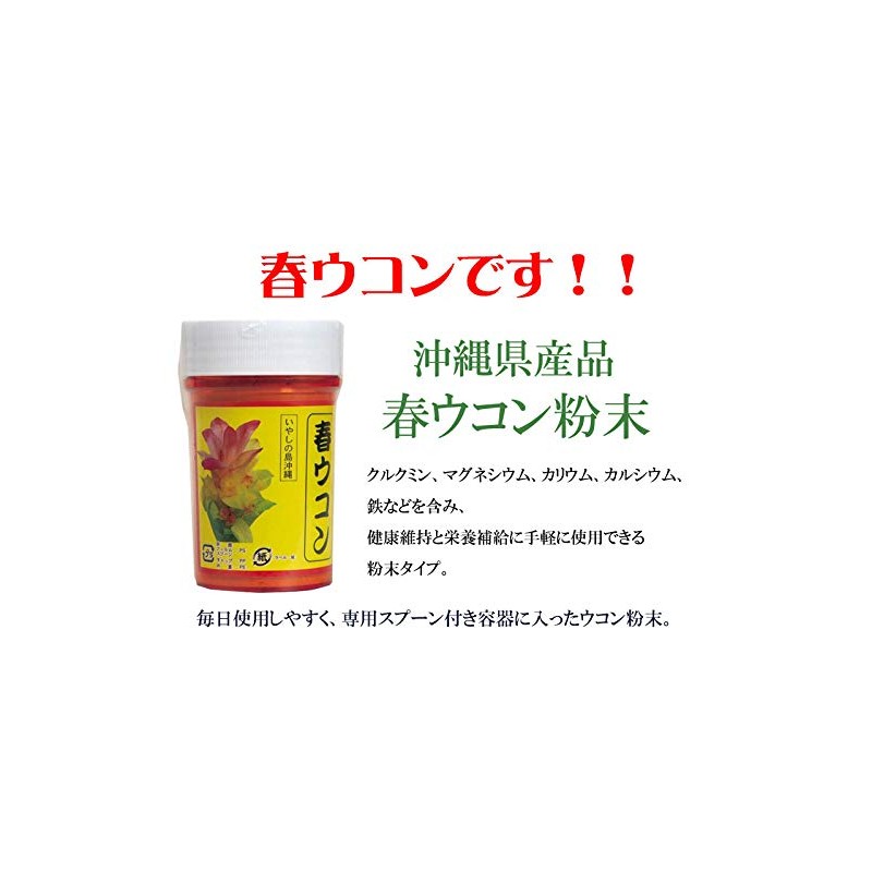 比嘉製茶 春ウコン粉 100g 2個セット