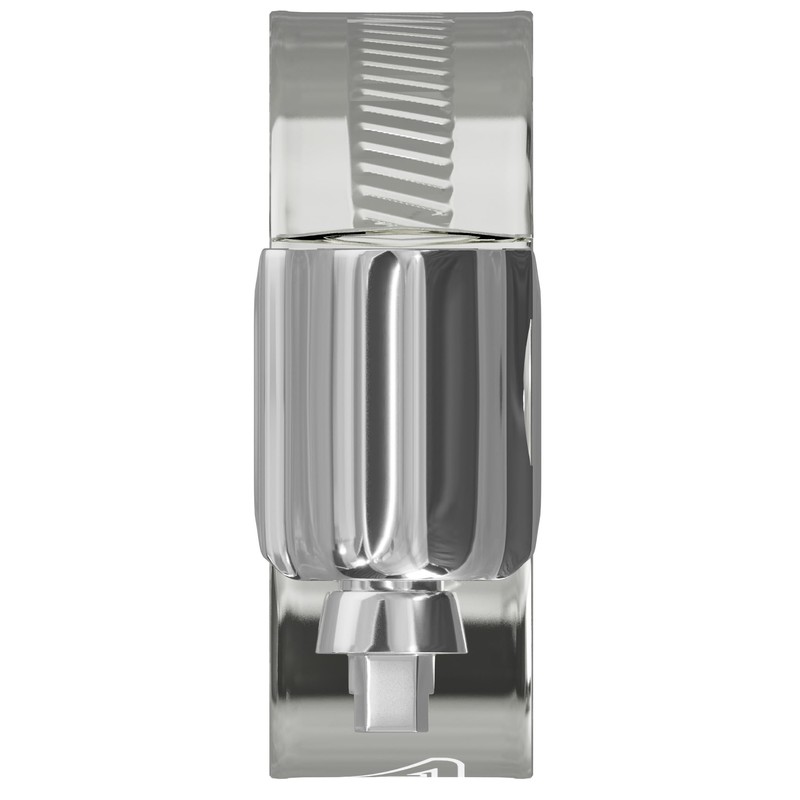 10 Pack - 55mm > 70mm Worm Drive 304 Stainless