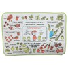 Made in Japan, Microfiber Water Absorption Drying Mat, Set of