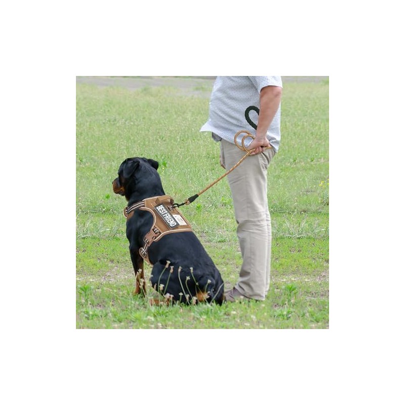 Beebiepet Arnés Táctico Resistente Chaleco Militar K9 para Perros Grandes