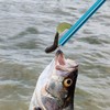 Fish Hook Remover Tool Extractor, Safely Easy Squeeze Out Fishing