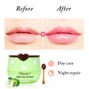 6 PCS Bee Lip Balm Honey Pot, Strawberry & Watermelon