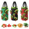 Cozioz 3-Pack Upside Down Hanging Tomato Planters – 3 Gallon