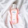 Arabela Shampoo Íntimo Dainty Lady Arabela 125 Ml Original
