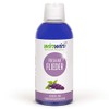 winwin clean Systemische Reinigung winwinClean Fresh Air Air Cleaning Concentrate