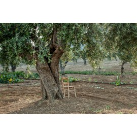 LIA Koroneiki Greek Extra Virgin Olive Oil, 500 ML