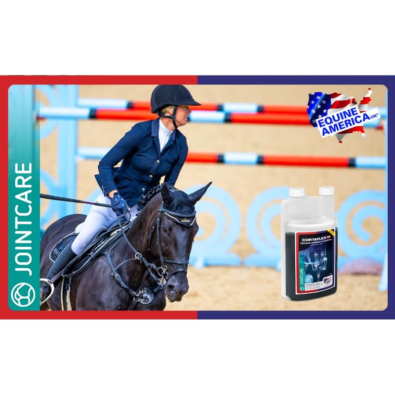 Equine America Cortaflex Regular Strength Solution | Premium Ready to