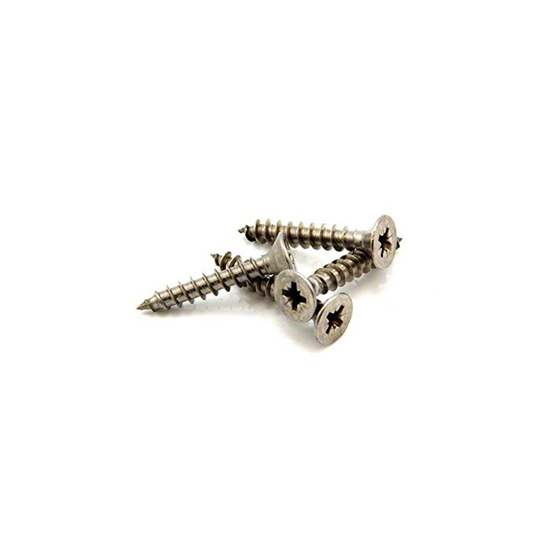 Stainless Steel Screws for Crafts, DIY, Construction, and Countersunk Magnets