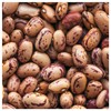 Everwilde Farms - 1 Lb Pinto Dry Bean Seeds -