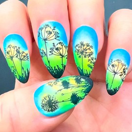 SheModern Stamping SEALER Water-Based Clear Air-Dry Polishes Collection to Prevent Smearing/Smudging Stamping Images Before Apply Regular Air-Dry Top Coat. These are Not Stamping Polishes