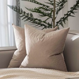 JUSPURBET Cloud Velvet Throw Pillow Covers 26X26 inch Set of 2 for Living Room Couch Sofa Bedroom Decorative Square Solid Soft Cushion Cases with Invisible Zipper