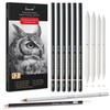 Brusarth Charcoal Drawing Set -12 pc Black charcoal pencils, White