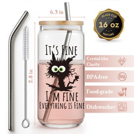 It’s Fine Everything's Fine,Funny Black Cat Gifts for Women Men Coworker Friends Teacher Nurse,Coffe Glass Cup with Lid and Straw Cat Lover Inspiration Gifts for Birthday Christmas Thanksgiving