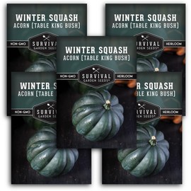Table King Acorn Squash Seed for Planting - 5 Packets with Instructions to Plant and Grow Bush Style Winter Squash in Your Home Vegetable Garden - Non-GMO Heirloom Variety- Survival Garden Seeds