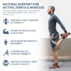 Joint & Muscle Complex | Boswellia, Devil's Claw & Pea