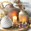 Comdian Set de 14 aceites esenciales aromáticos para aromaterapia, difusores,