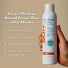 Sun Laboratories By Giesee Ultra Dark Spray 2 Pack -