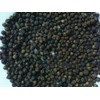 "SumaagadhaM" Whole Black Peppercorns 100 Grams