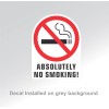 Unbranded ABSOLUTELY NO SMOKING stickers | white | outdoor durable