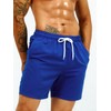 SweatyRocks Men's Drawstring Waist Swim Trunks Solid Bathing Suits Shorts