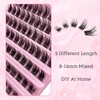 Selawasty Lash Clusters Eyelashes Cluster Lashes Individual Lashes Eyelash Extensions