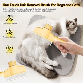 xinrongda Cat Toy Bird (Blue)