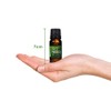 Blue Banana Bottle of Tea Tree Oil in Almond Oil
