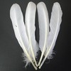GYBZZR 12Pcs Natural Craft Feathers Long 8-10 Inch-Bulk Feathers for