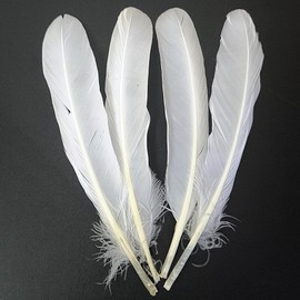 GYBZZR 12Pcs Natural Craft Feathers Long 8-10 Inch-Bulk Feathers for Crafts DIY Wedding Decor Fly Tying Costumes (White Goose)