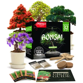 Home Grown Bonsai Tree Kit, Grow Your Own: Premium 4 Bonsai Trees Starter Kit | Unique Japanese Gifts for Moms Who Have Everything, Women, Men | Gardening Plant Gift for Beginners & Gardeners