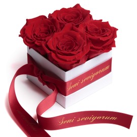 ROSEMARIE SCHULZ Heidelberg Roses in Box Infinity Roses Red Preserved Flowers Gift Valentine's Day Token of Love for Women (Seni Seviyorum, Red)