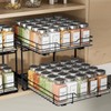 BOIVSHI 2-Tier Spice Rack Organizer, Pull Out Spice Rack for
