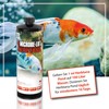 MICROBE-LIFT Pond Herbtana - 473ml - Natural Herb Based Agent