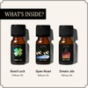Good Luck, Open Road & Dream Job Oils | 3