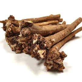 Domestic astragalus 6-year-old astragalus, cut into pieces for boiling Samgye, 300g, unpeeled 2025 fresh astragalus, 6-year-old astragalus, roasted Astragalus / 국산 황기 6년근 황기 삼계백숙용 토막절단 300g 껍질을 벗기지 않은 2025년 햇황기 6년근 볶은황기
