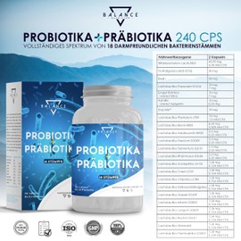 Probiotics and Prebiotics – 240 Capsules | Probiotics Intestinal Restoration | Probiotics Capsules | Prebiotics, Digestive Enzymes + Inulin | Intestinal Flora Building | Up to 20 Billion CBE