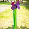 In the Breeze 5227 — Iris Windtail — Colorful 3D