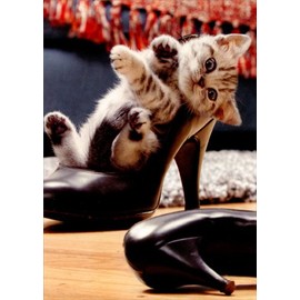 Kitten In High Heel Shoe - Avanti Cat Friendship Card