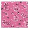Creative Converting 317378 16 Count Paper Beverage Napkins, Pink Bandana