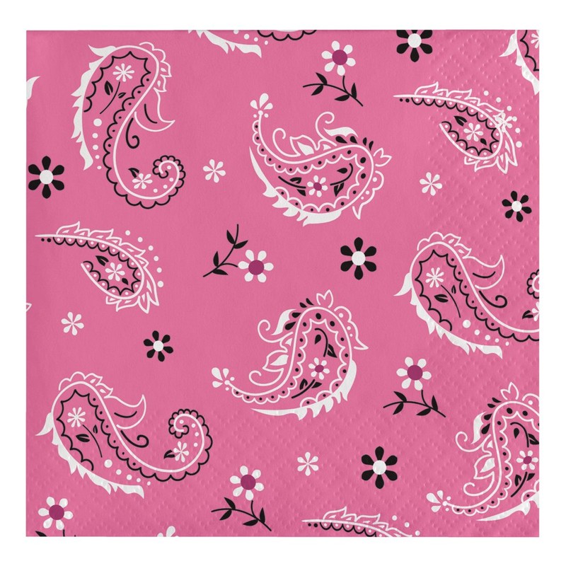 Creative Converting 317378 16 Count Paper Beverage Napkins, Pink Bandana