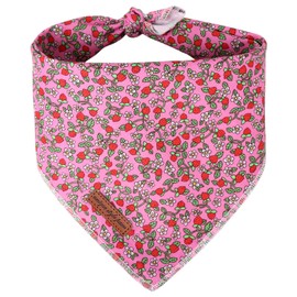 Unique style paws Summer Dog Bandanas Pet Pink Scarf for Boy and Girl Strawberry Premium Durable Fabric Colorful Green Kerchief for Medium and Large Dogs S