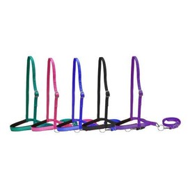 Showman Pony Size Premium Nylon Noseband Tie Down w/Strap