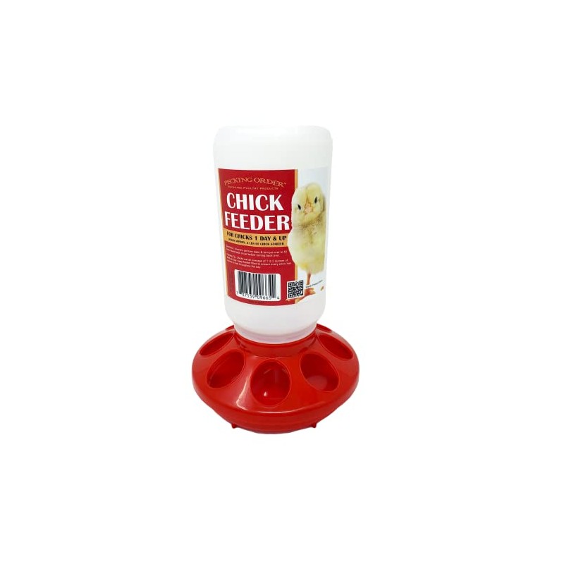 Pecking order Chick Feeder