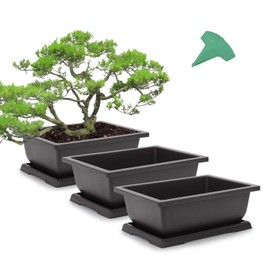 GROWNEER 3 Packs 11 Inches Bonsai Training Pots with Drainage Humidity Trays, Large Bonsai Pots with 15 Pcs Plant Labels, Growing Planter for Garden, Yard, Balcony, Office, Living Room