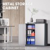 DNA MOTORING Metal Storage Cabinet, 36'' Locking Cabinet with 2