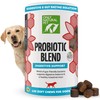 Only Natural Pet Probiotic Dog and Cat Supplement - Digestive